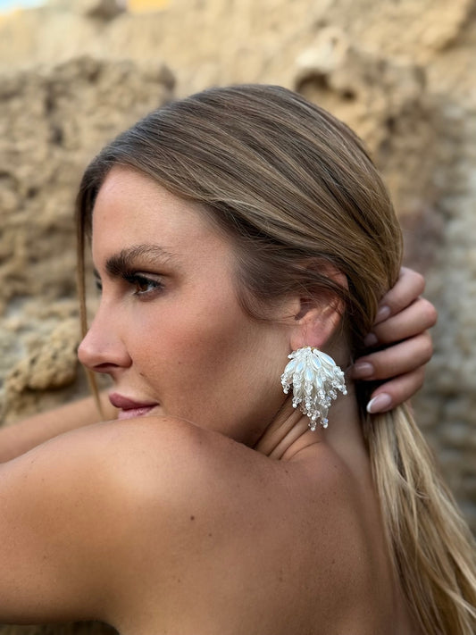 Pendientes Cayo Coco