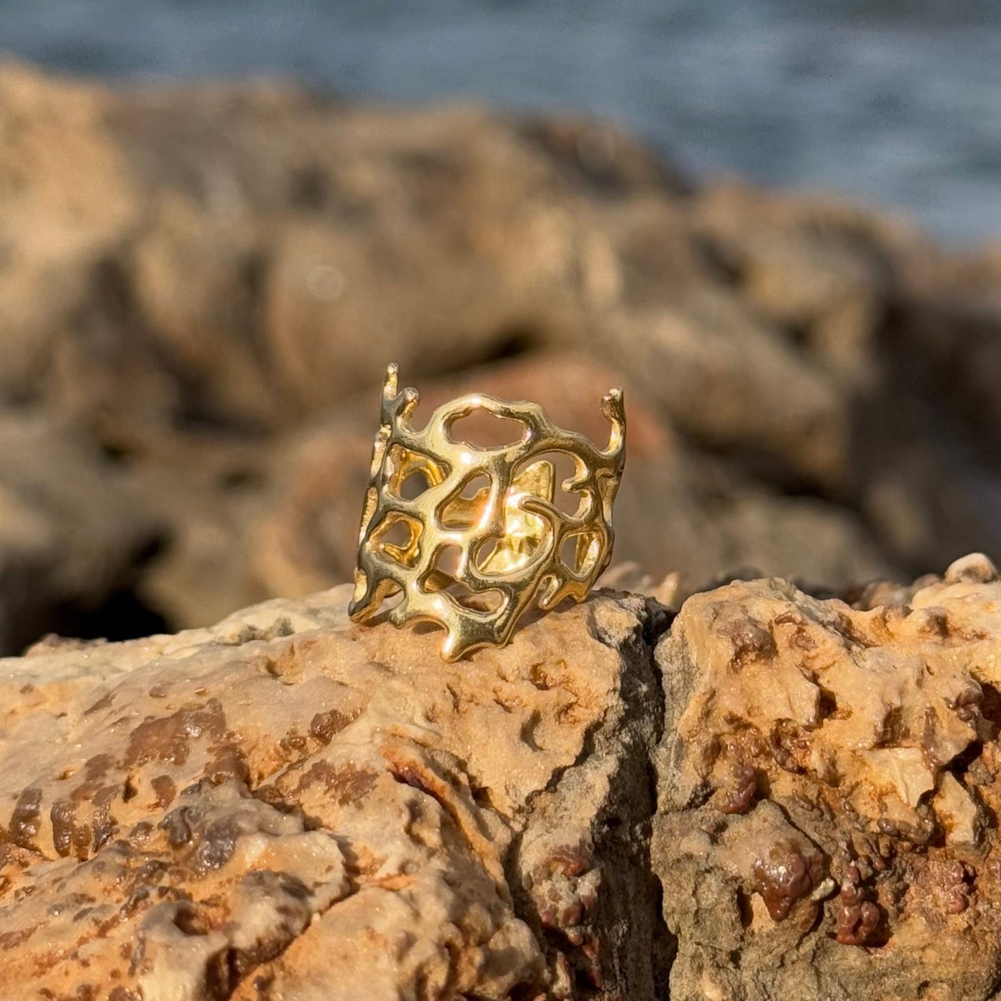 Anillo Madagascar