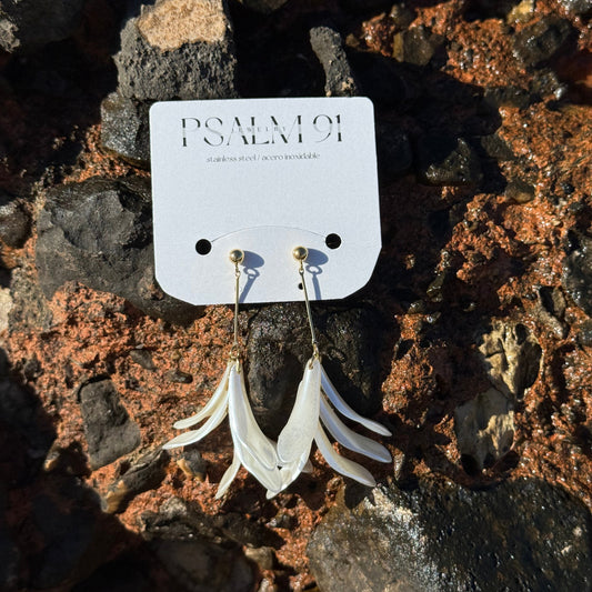 Pendientes Playa Flamenco