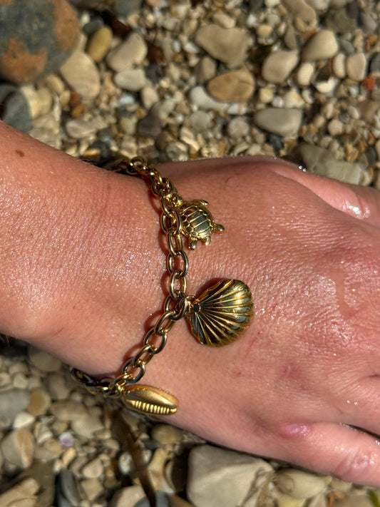 Pulsera Tortuguero
