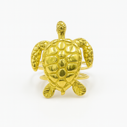 Anillo Tortuguero