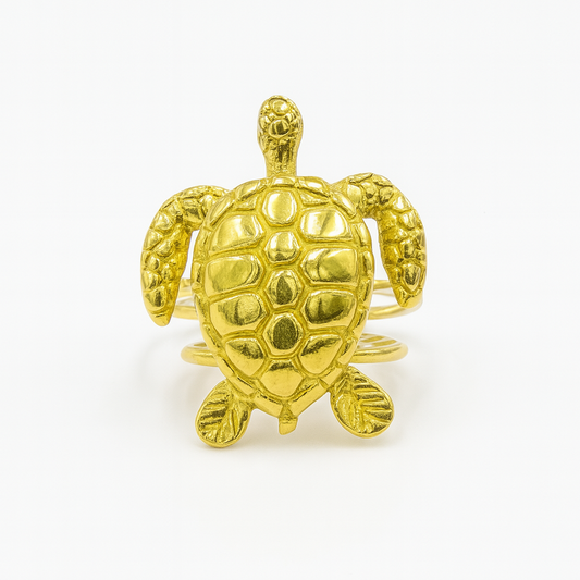 Anillo Tortuguero