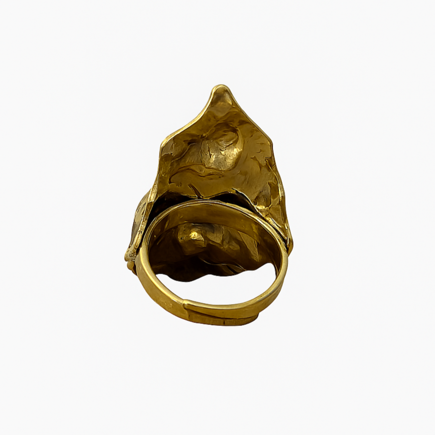 Anillo Zambia