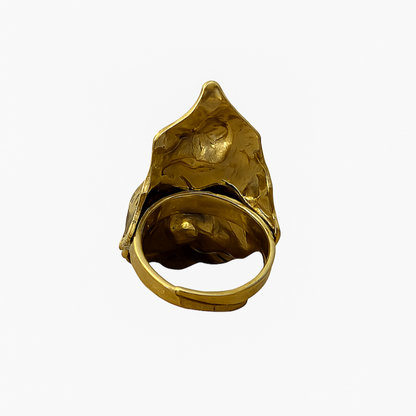 Anillo Zambia