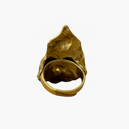 Anillo Zambia