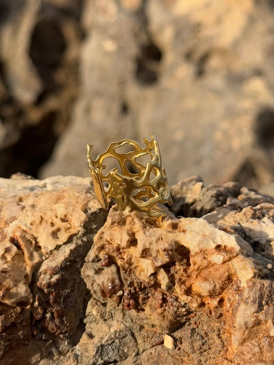 Anillo Madagascar