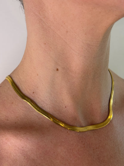 Collar Dakar