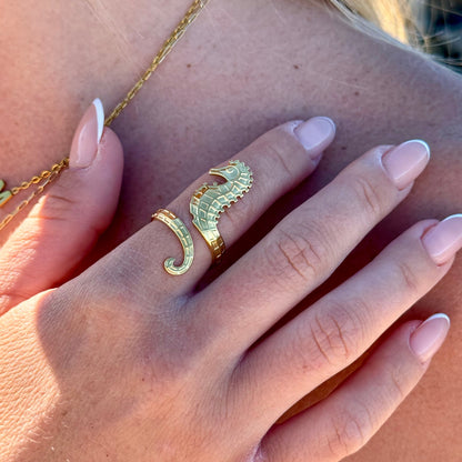 Anillo Caicos